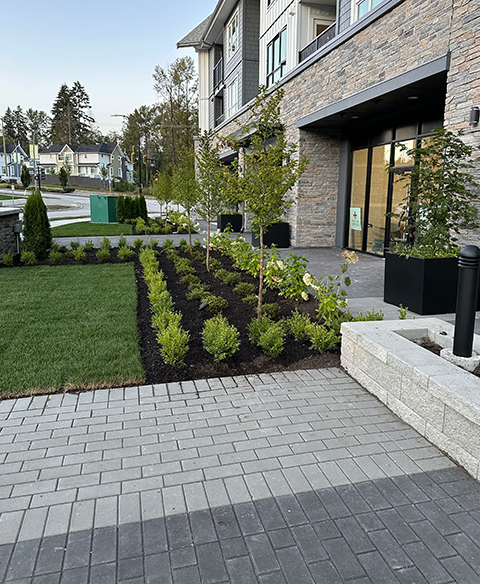 Commercial Landscape Construction Maple Ridge