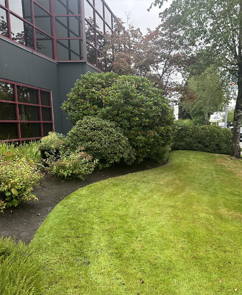 Landscape Property Maintenance Maple Ridge
